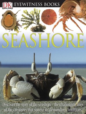 Seashore - ebook